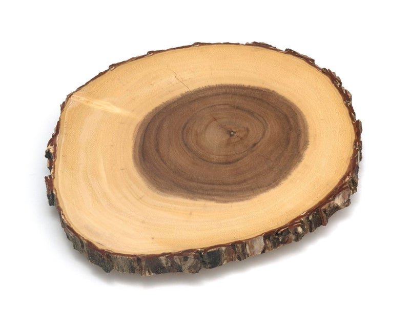 Lipper International 1010 Acacia Tree Bark Footed Server for Cheese, Crackers, and Hors D'oeuvres, Small - Image 1